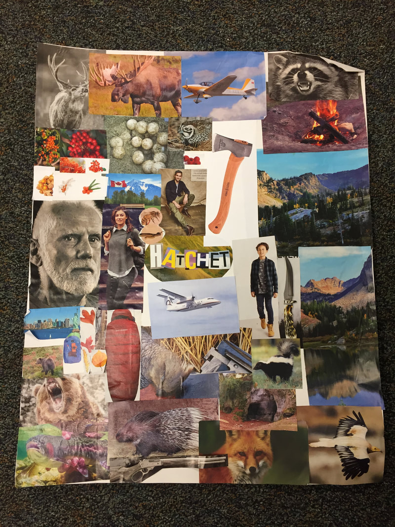 book report collage example